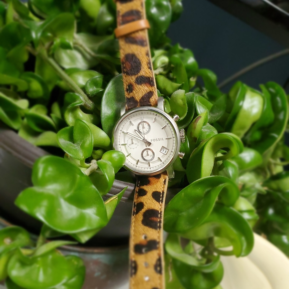 Fossil watch
